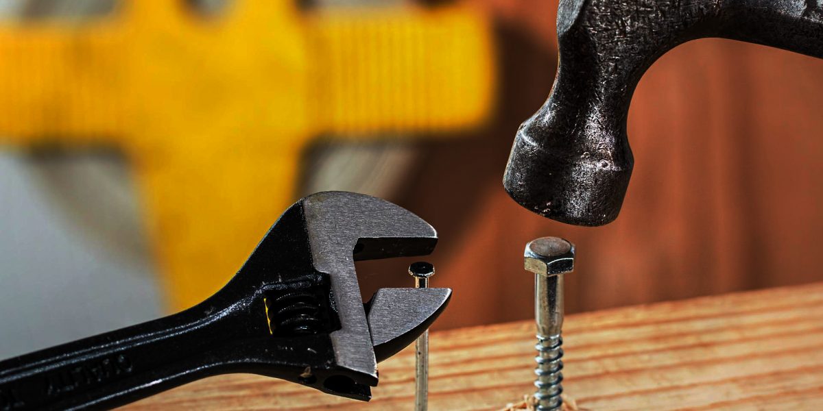 autonoma e intraprendente