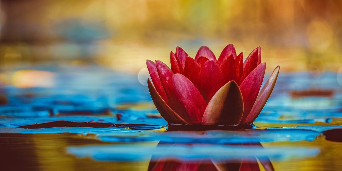 piccola-media impresa